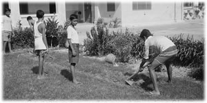 School boys gardening